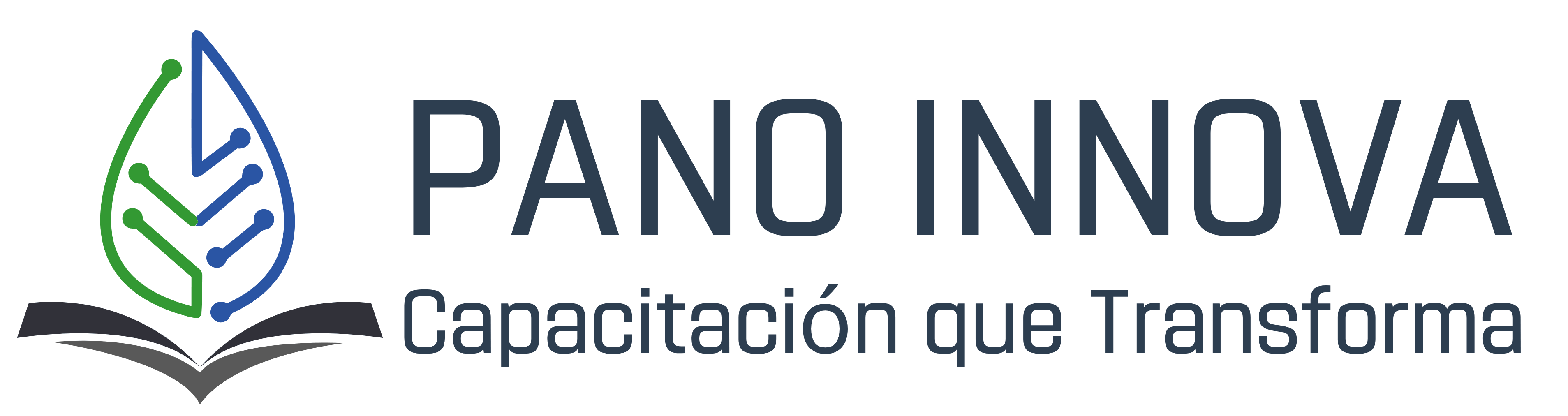 Logo Pano Innova